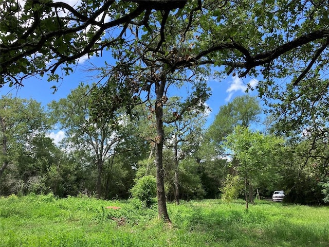 693 Saint Marys Rd, Rosanky, TX 78953 - view of tree filled area