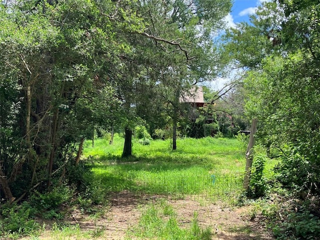 693 Saint Marys Rd, Rosanky, TX 78953 - view of nature
