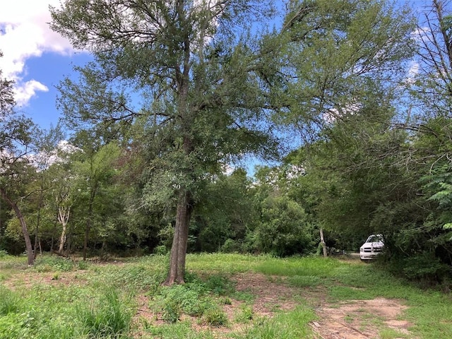 693 Saint Marys Rd, Rosanky, TX 78953 - view of yard featuring a wooded view