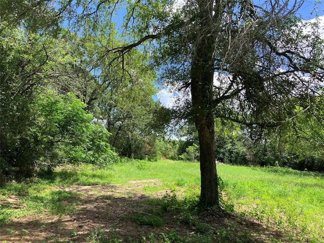 693 Saint Marys Rd, Rosanky, TX 78953 - view of tree filled area