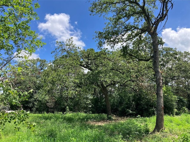693 Saint Marys Rd, Rosanky, TX 78953 - view of wooded area