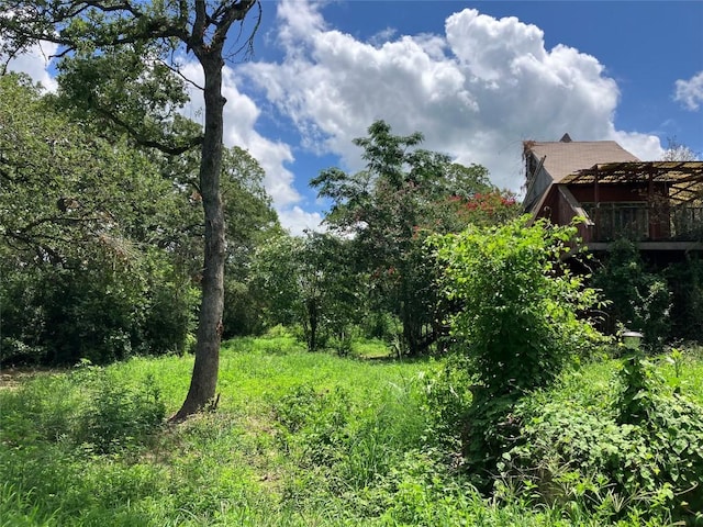 693 Saint Marys Rd, Rosanky, TX 78953 - view of yard