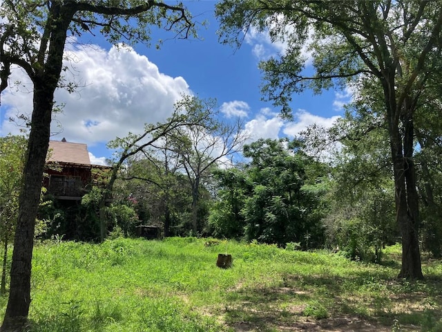 693 Saint Marys Rd, Rosanky, TX 78953 - view of yard