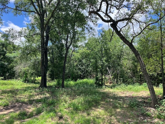 693 Saint Marys Rd, Rosanky, TX 78953 - view of woods