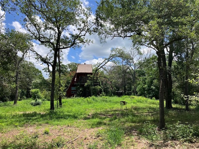 693 Saint Marys Rd, Rosanky, TX 78953 - view of yard