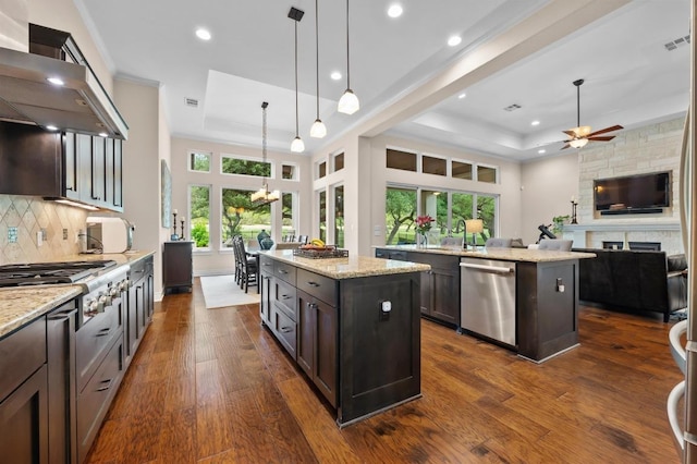 343 Covered Wagon Way, Driftwood, TX 78619 - kitchen featuring a tray ceiling, a kitchen island, stainless steel appliances, exhaust hood, and healthy amount of natural light