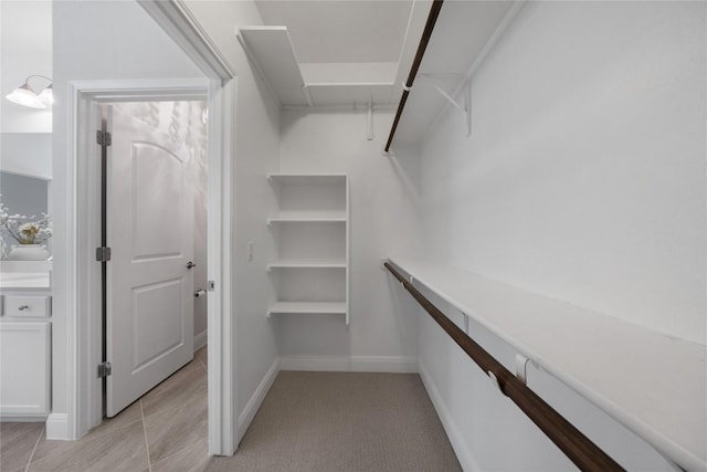 14 Acacia Way, Georgetown, TX 78633 - view of walk in closet