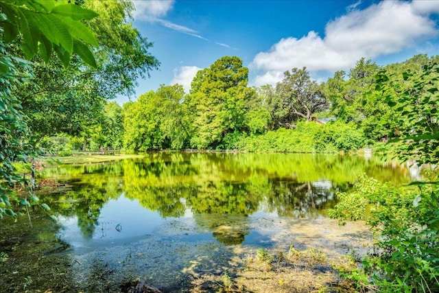 1321 Warrington Dr, Austin, TX 78753 - water view