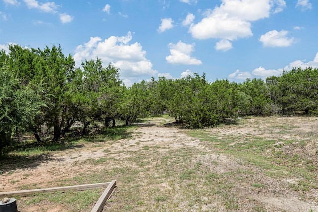 211 E Creek Dr, Dripping Springs, TX 78620 - view of yard