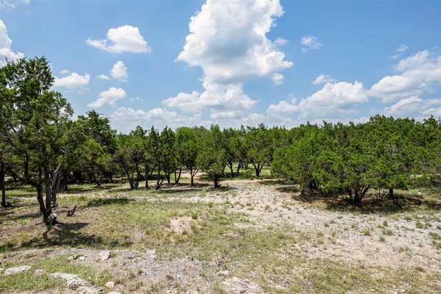 211 E Creek Dr, Dripping Springs, TX 78620 - view of undeveloped land featuring rural landscape