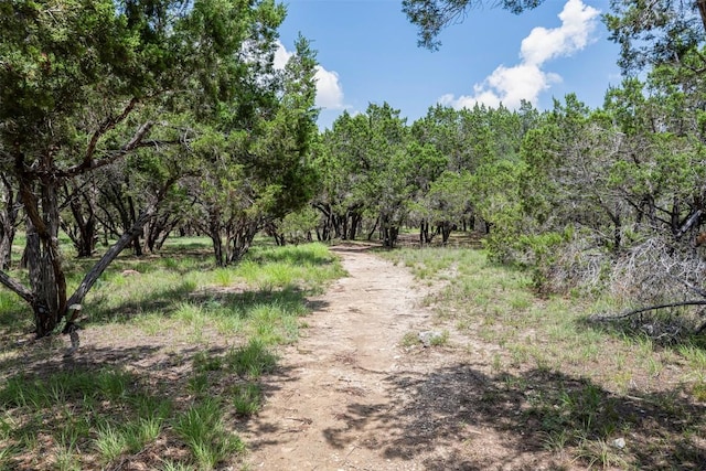 211 E Creek Dr, Dripping Springs, TX 78620 - view of street