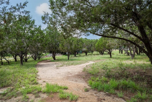 211 E Creek Dr, Dripping Springs, TX 78620 - view of property's community