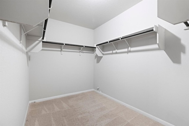 2010 Grow Ln, Austin, TX 78754 - walk in closet with carpet flooring
