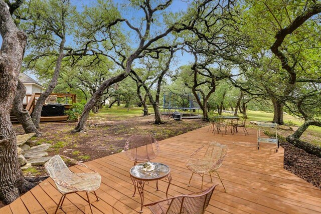 116 Saddlehorn Dr, Dripping Springs, TX 78620 - photo 28