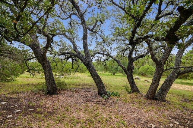 116 Saddlehorn Dr, Dripping Springs, TX 78620 - photo 35