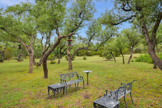 116 Saddlehorn Dr, Dripping Springs, TX 78620 - photo 3