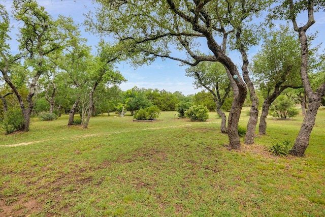 116 Saddlehorn Dr, Dripping Springs, TX 78620 - photo 4