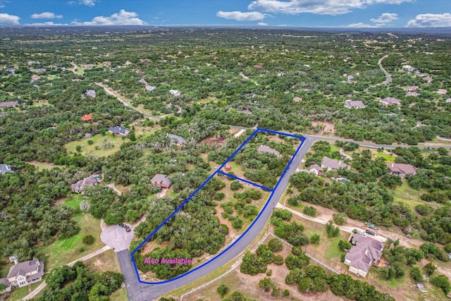 116 Saddlehorn Dr, Dripping Springs, TX 78620 - photo 38