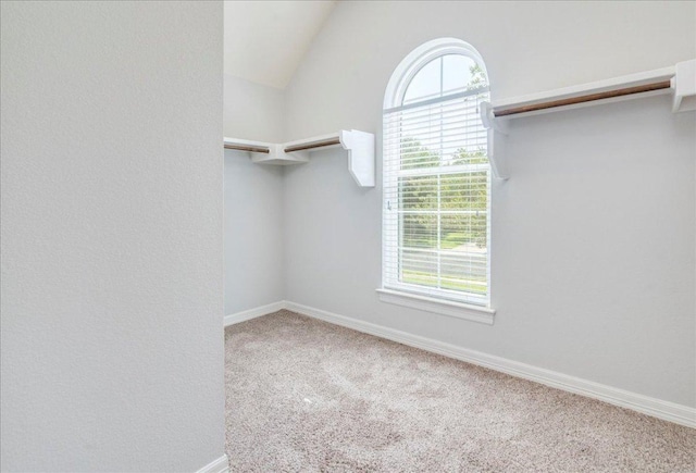 2804 Forest Green Dr, Round Rock, TX 78665 - spacious closet featuring carpet and vaulted ceiling