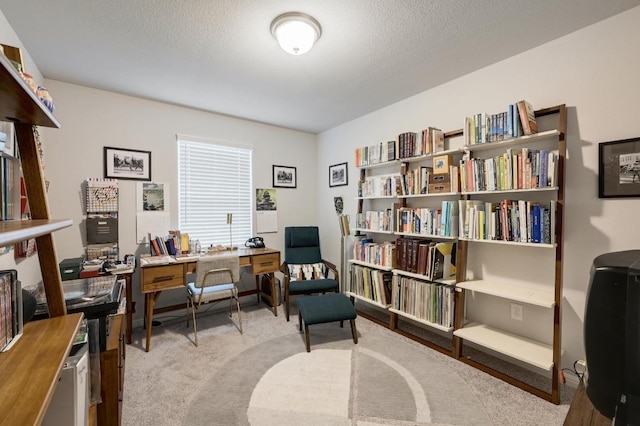 10005 Dawn Pearl Dr, Austin, TX 78748 - photo 18