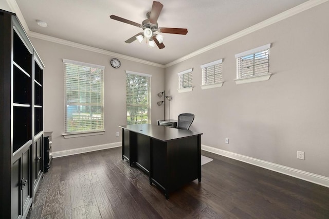 21506 Greylag Dr, Pflugerville, TX 78660 - home office with dark wood finished floors, ceiling fan, and ornamental molding