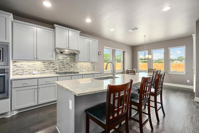 21506 Greylag Dr, Pflugerville, TX 78660 - kitchen with tasteful backsplash, appliances with stainless steel finishes, recessed lighting, under cabinet range hood, and dark wood-type flooring