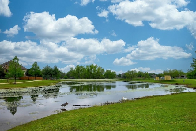 21506 Greylag Dr, Pflugerville, TX 78660 - water view
