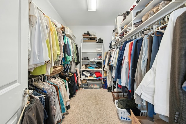 207 Breezeway Ln, Georgetown, TX 78633 - walk in closet featuring carpet floors