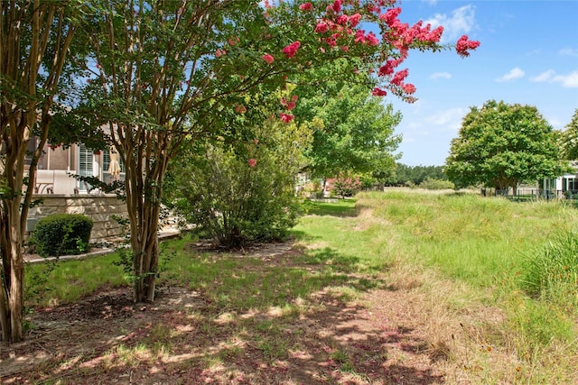 207 Breezeway Ln, Georgetown, TX 78633 - photo 25