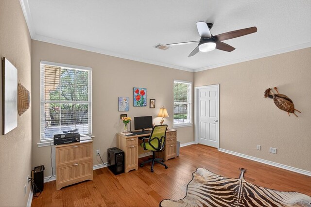127 W Stonecastle Dr, Granite Shoals, TX 78654 - office with light wood finished floors, a ceiling fan, and ornamental molding