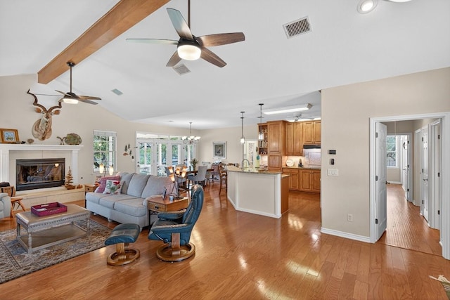 127 W Stonecastle Dr, Granite Shoals, TX 78654 - living room featuring ceiling fan, light wood-type flooring, plenty of natural light, and a chandelier