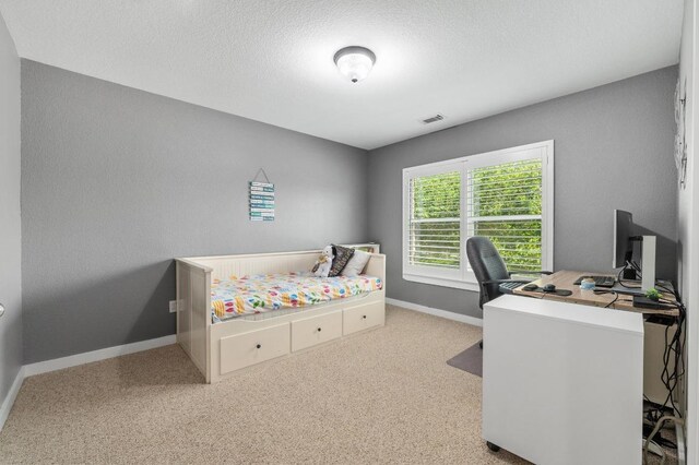 10820 Sky Rock Dr, Austin, TX 78739 - photo 14