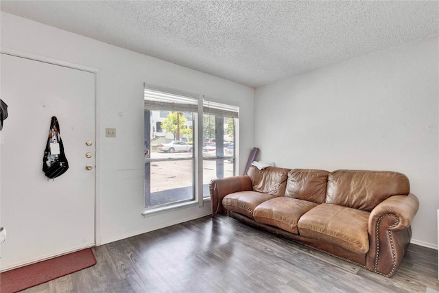 2801 Hemphill Park Unit A102, Austin, TX 78705 - living room with wood finished floors and a textured ceiling