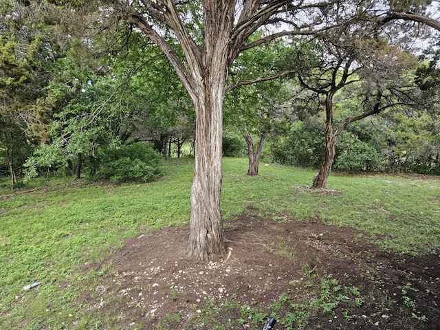 231 County Road 1523, Morgan, TX 76671 - photo 34