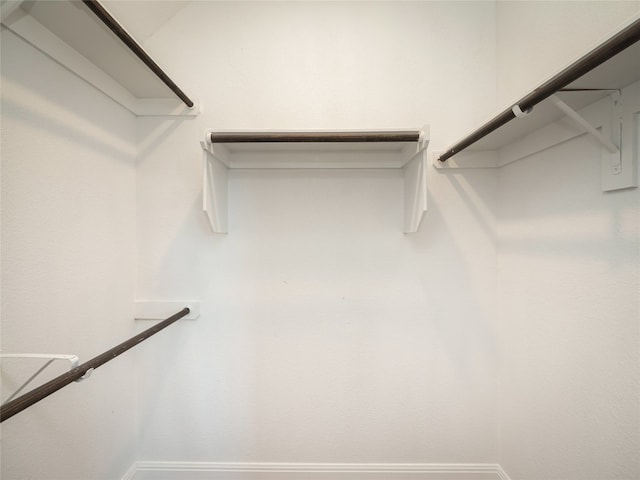 2320 Lucky Ln, Leander, TX 78641 - view of walk in closet