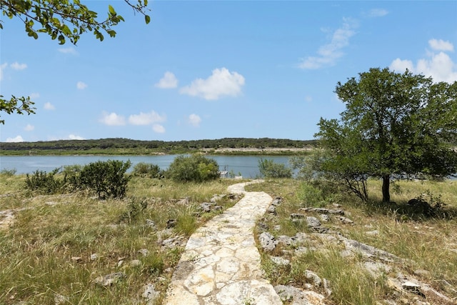 2806 Truman Cv, Lago Vista, TX 78645 - water view