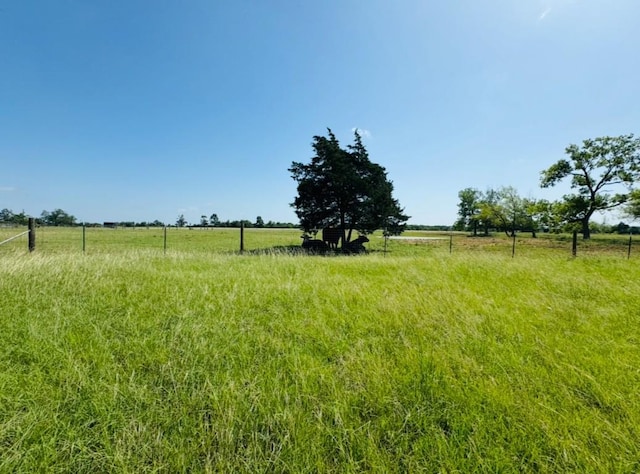 224 Crooked Hollow Dr, Elgin, TX 78621 - view of yard with a view of rural / pastoral area