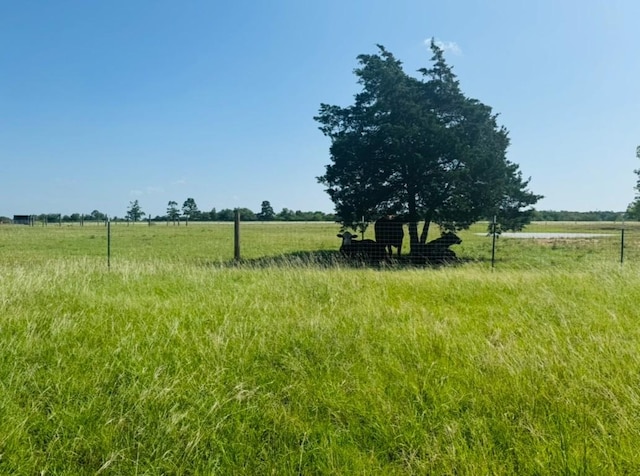 224 Crooked Hollow Dr, Elgin, TX 78621 - view of yard with a rural view