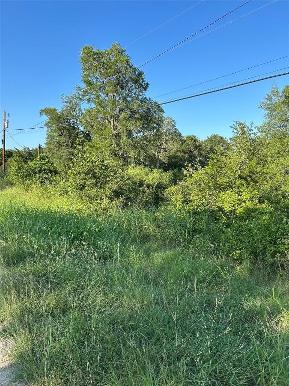 TBD Smith Roads, Bastrop, TX 78602