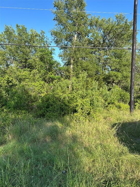 TBD Smith Roads, Bastrop, TX 78602