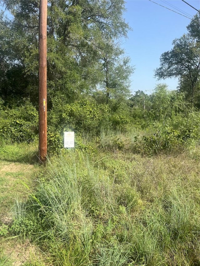 TBD Smith Roads, Bastrop, TX 78602