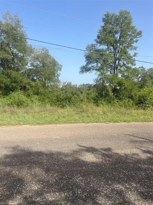 TBD Smith Roads, Bastrop, TX 78602