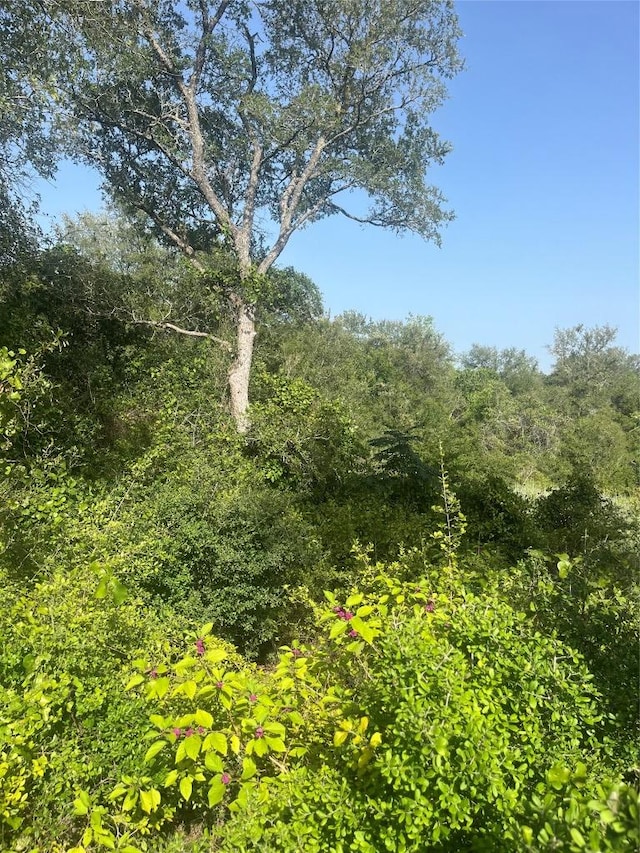 TBD Smith Roads, Bastrop, TX 78602