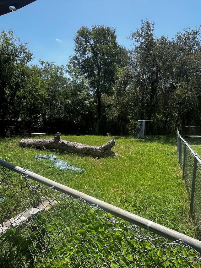 6005 Walnut Hills Dr, Austin, TX 78723 - view of yard