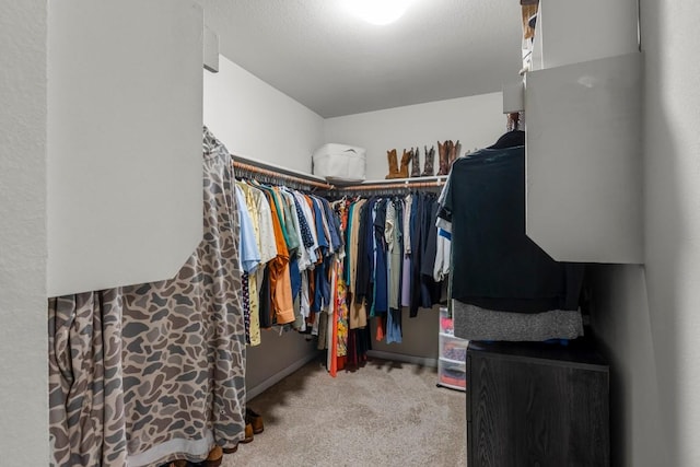 13911 Macquarie Dr, Pflugerville, TX 78660 - spacious closet with carpet floors