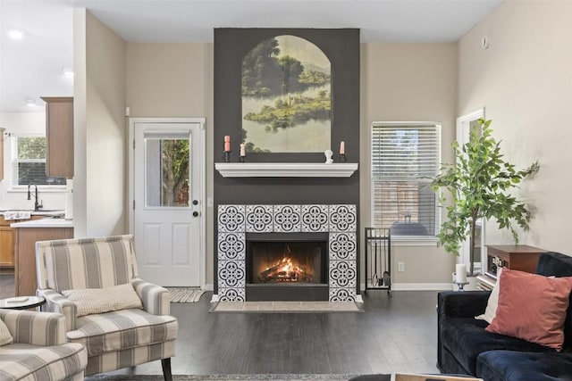 6001 Andross Ct, Hutto, TX 78634 - living room featuring wood finished floors and a tiled fireplace