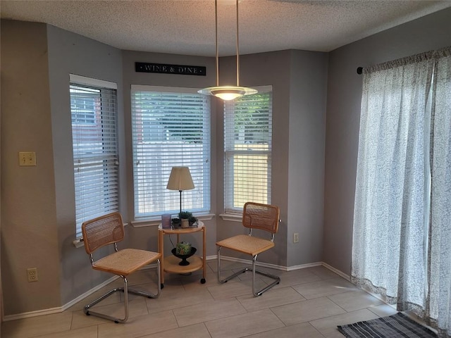 1805 Timber Ridge Dr, Cedar Park, TX 78613 - sitting room with a textured ceiling