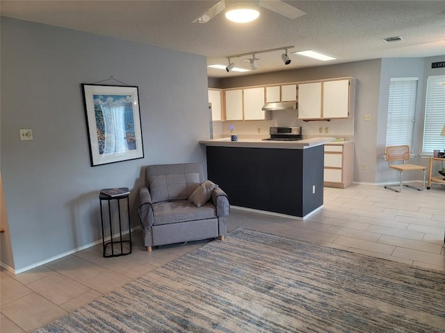 1805 Timber Ridge Dr, Cedar Park, TX 78613 - living area featuring a ceiling fan, rail lighting, and a textured ceiling