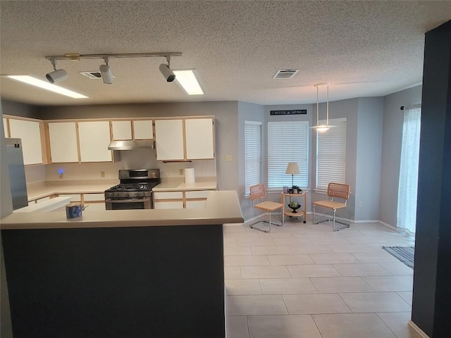 1805 Timber Ridge Dr, Cedar Park, TX 78613 - kitchen with gas range, rail lighting, under cabinet range hood, light countertops, and a textured ceiling