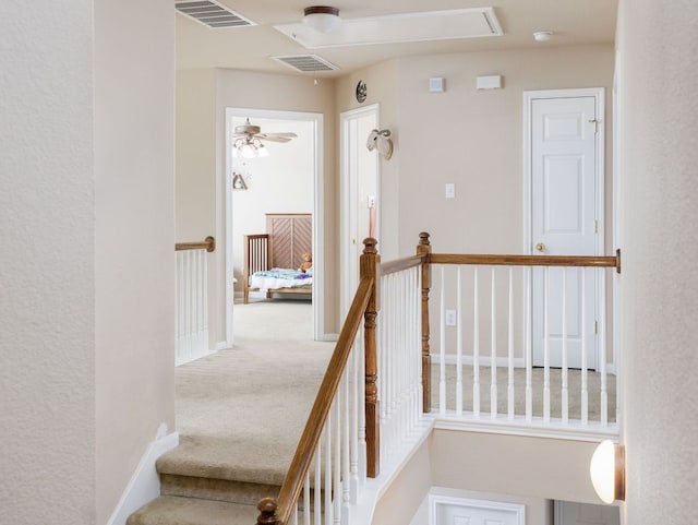 2407 Silver Spur Ln, Leander, TX 78641 - photo 15